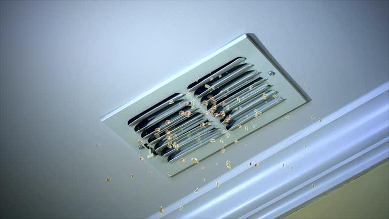 Best Air Duct Inspection  in Linganore, MD