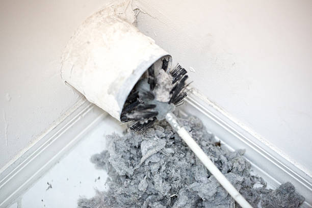 Best HVAC System Cleaning  in Linganore, MD